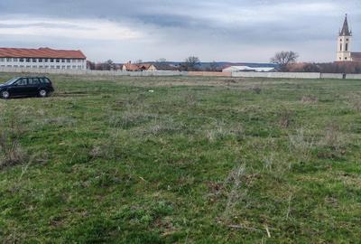 Teren de 2600 mp, în Apoldu de Sus - 4