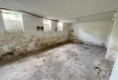 RECO, Casa Veche, Zona centrala, Oradea, teren 480 mp - 15