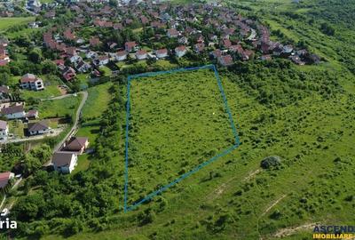 Spațiu comercial, în Livezeni - 1