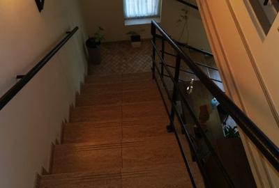 Duplex Gavana D+P+E+M, teren 500mp, garaj - 12