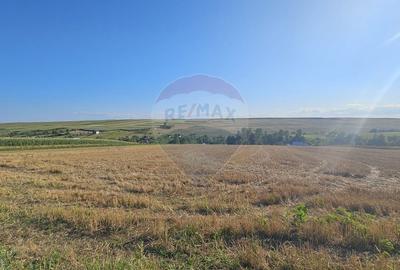 Teren Construcții intravilan de 7500 mp, în Moara Carp - 9