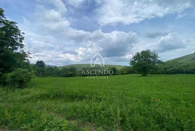 Teren Construcții intravilan de 15900 mp, în Fințești - 13