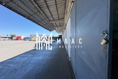 Spațiu industrial, de 800 mp, în Turnișor - 4