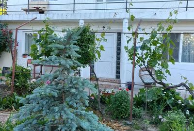 Casă cu 6 camere cu Teren 2000 Mp în Cataloi - 6