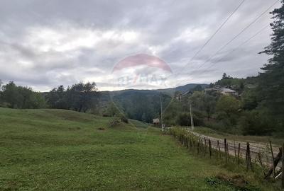Teren cu priveliste spectaculoasa, 4000mp, la 18km de Sinaia Teren cu priveliste spectaculoasa, 4000mp, la 18km de Sinaia - 2