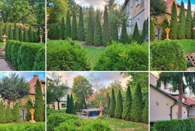 Casă cu 4 camere în Brașovul Vechi