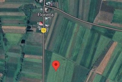 Spațiu comercial, în Șcheia - 1