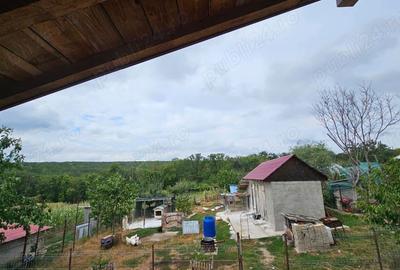 Casa la padure Casa la padure - 2