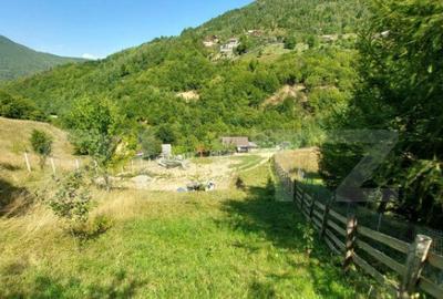 Teren cu autorizatie de constructie, 1130 mp in Muntele Rece - 11