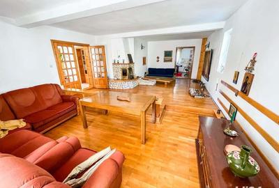 Vila Trivale Pitesti - 4