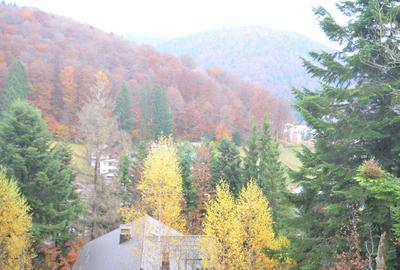 Teren de 1300 mp, în Valea Alba - 2