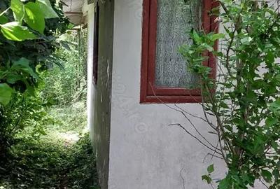 Casă cu 4 camere în Murighiol - 3