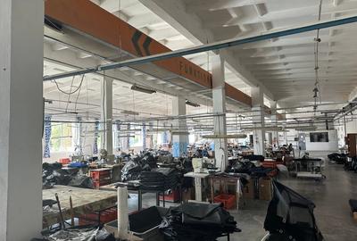 Hale industriale de închiriat. Mai multe dimensiuni și opțiuni de depozitare - 1