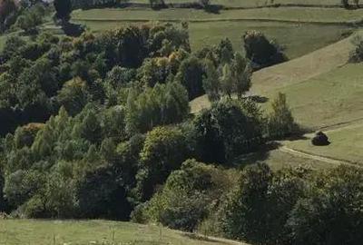 Teren de 4300 mp, în Poiana Mărului - 6