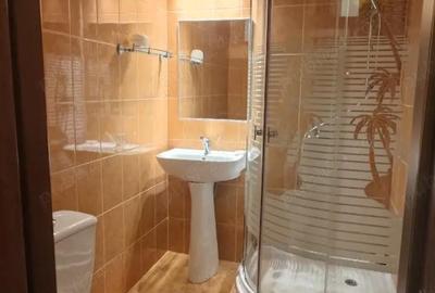 Apartament cu 2 camere semidecomandat în Pantelimon - 5