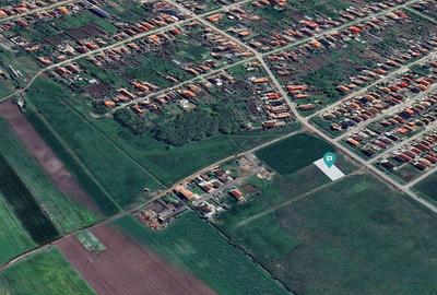 Loc de casa de 470 mp in Livada - 3