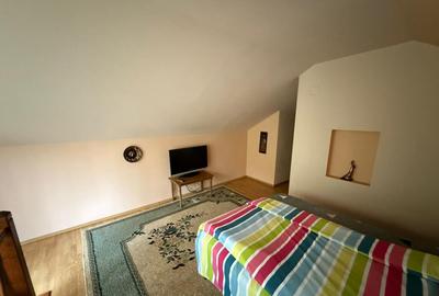 Casa cu garaj ?i 2 ?eminee, langa Parcul Mare Str. - 12