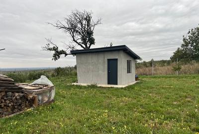 Teren intravilan pe Strada Principală – Faraoanele, Vârteșcoiu - 2