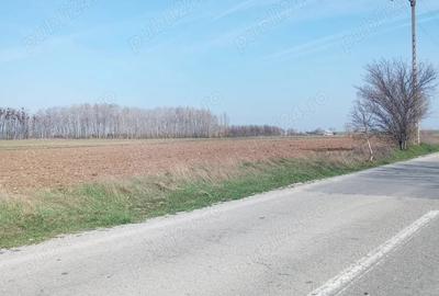 Teren de 500 mp, în Coșoveni - 2