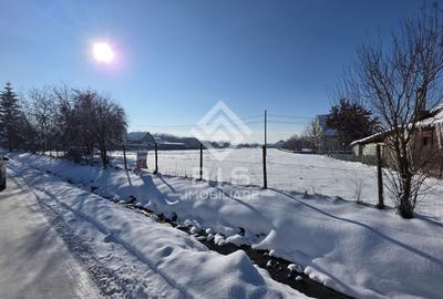 Teren cu suprafata 5300 mp intravilan - 6