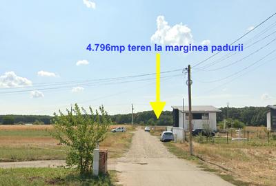 Teren Construcții intravilan de 4796 mp, în Snagov - 1