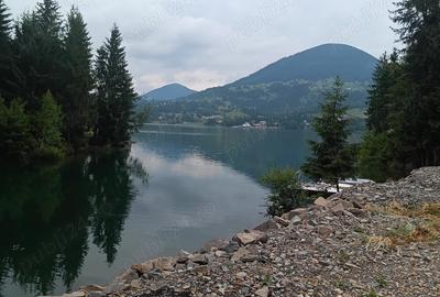 Cabana Colibi?a pe malul lacului Cabana Colibi?a pe malul lacului - 1