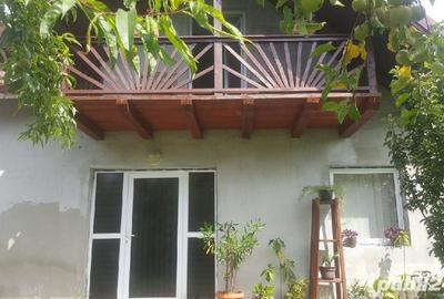 Casă cu Teren 2400 Mp în Cavnic - 5