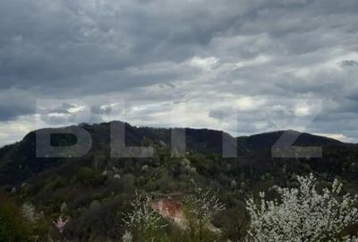 Casă cu 2 camere cu Teren 10000 Mp în Central - 3