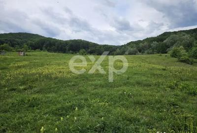 Teren în Mărgineni - 3