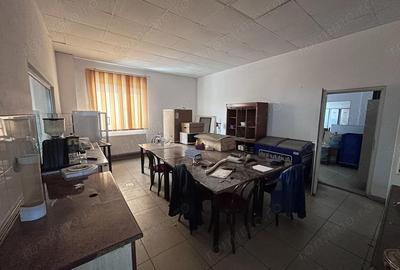 Spațiu comercial, de 960 mp, în Micălaca - 7