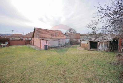 De vanzare Casa + Teren 2685 mp Intravilan, Betfia, Bihor - 7