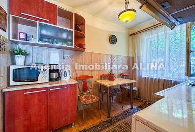 Apartament cu 2 camere decomandat în Gojdu - 12