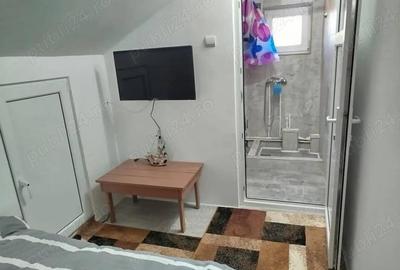 Cazare petreceri ,aniversari , cabana , vila , capacitate 14 persoane - 1