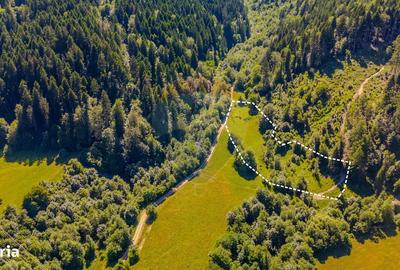 Spațiu comercial, în Brădet - 5