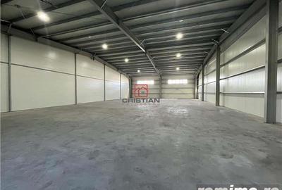 Inchiriere depozit hala spatiu industrial Pantelimon - Centura - 8