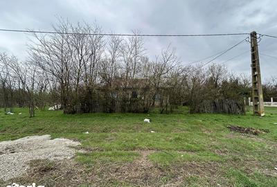 Casă cu 2 camere cu Teren 1586 Mp în Frăsinet - 7