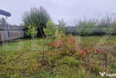 Teren de 1000 mp, în Hărman - 8