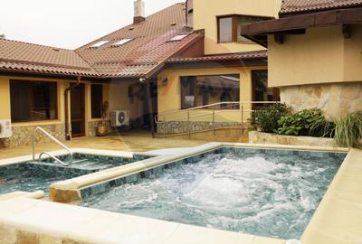 Vilă cu parc, piscină, jacuzzi și foișor, panouri fotovoltaice - 32