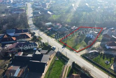 Casă în Domnești - 11