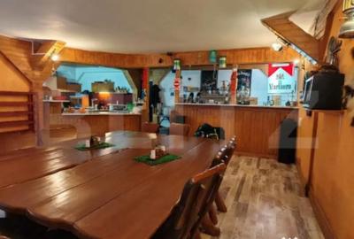 Casă cu 7 camere cu Teren 3800 Mp în Glăjărie - 14