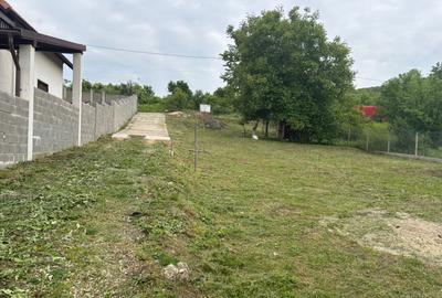 Teren Construcții intravilan de 2794 mp, în Dealuri Oradea - 2