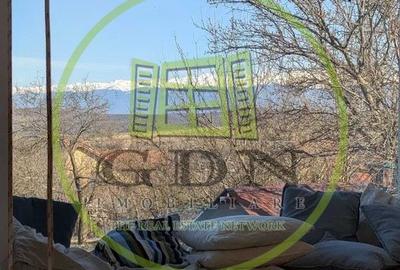 Casă cu 2 camere cu Teren 1000 Mp în Daia - 7