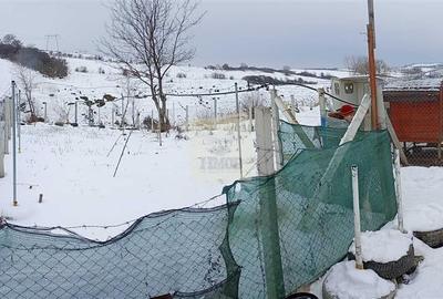 Gradina de vanzare cu apa si curent 700 mp in Sura Mare - 8