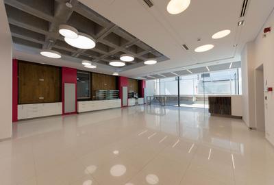 Casă individuală cu 15 camere cu Canalizare în Aviatorilor - 4