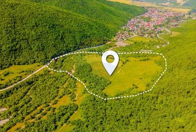 Teren Construcții intravilan de 128000 mp, în Gârcini