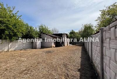 Casă cu 3 camere în Criș - 17