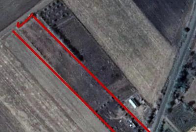 Teren de 4500 mp, în Crâng - 1