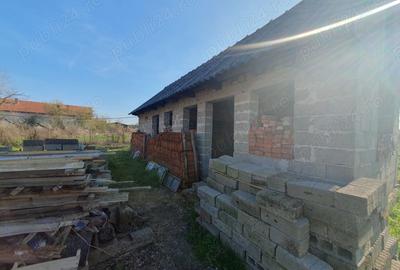 Casă cu 3 camere în Susani - 1