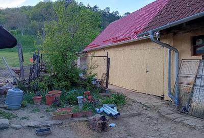 Casă cu Teren 1900 Mp în Laslea - 2
