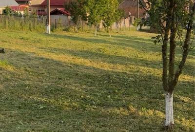 Teren de 1000 mp, în Petros - 2